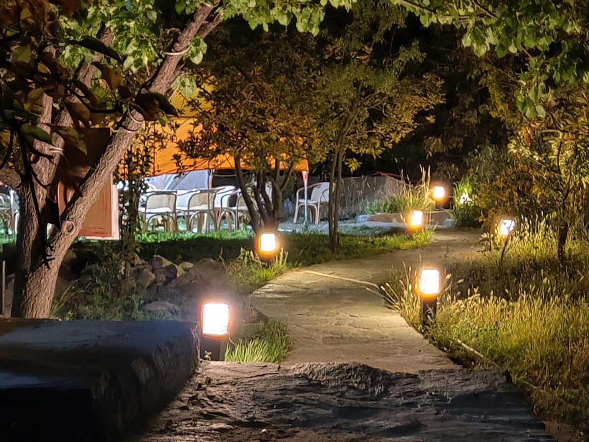 Grapes Garden Resort Hunza Karimabad  Bagian luar foto